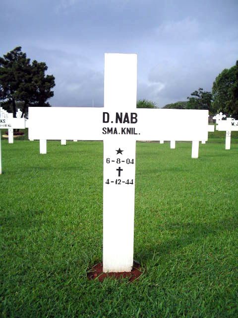 nab.d.2005.jpg