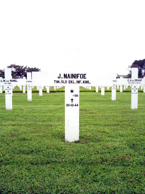 nainifoe.j.2005.jpg