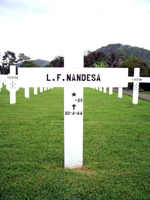 nandesa.l.f.2005.jpg
