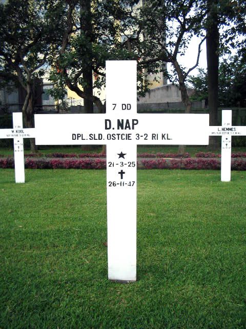 nap.d.2005.jpg