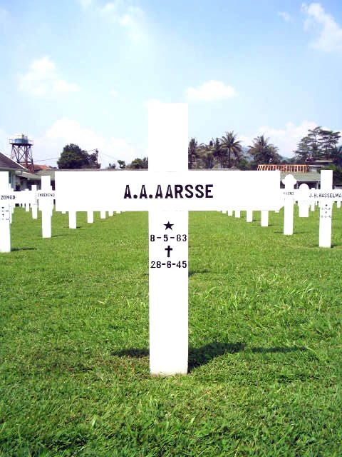 aarsse.a.a.2005.jpg