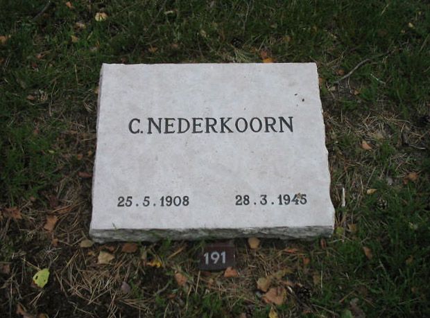 C.Nederkoorn.jpg