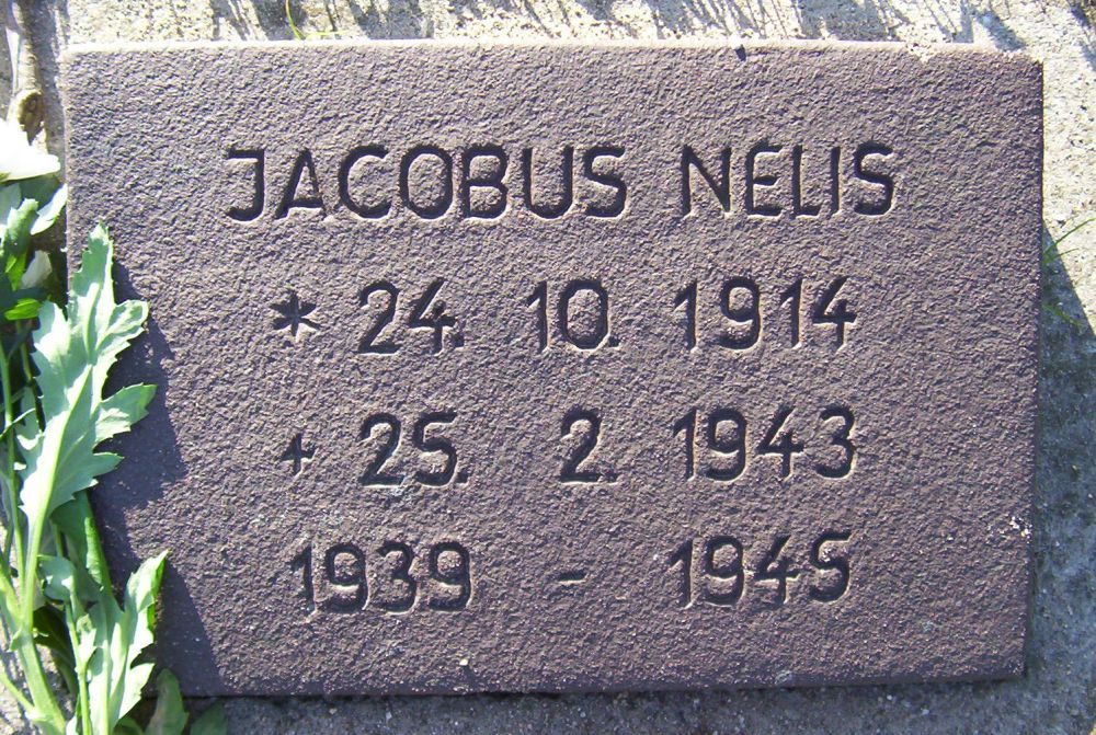 nelis.j.2010.jpg