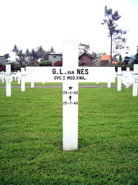nes.van.g.l.2005.jpg
