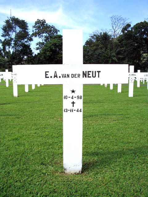 neut.v.der.e.a.2005.jpg