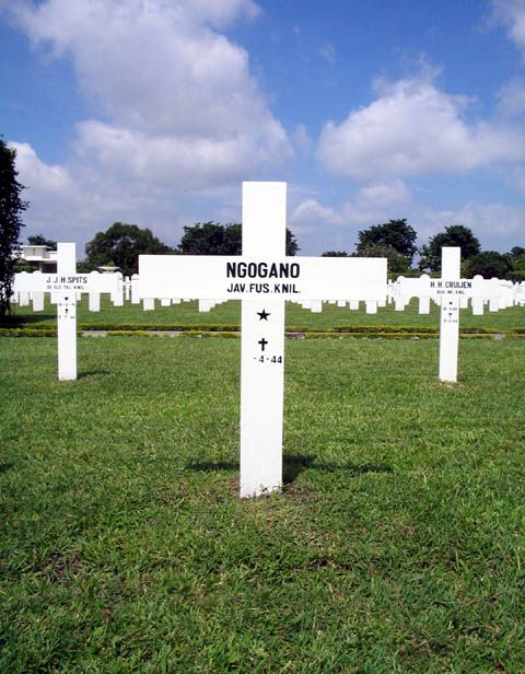 ngogano.2005.jpg