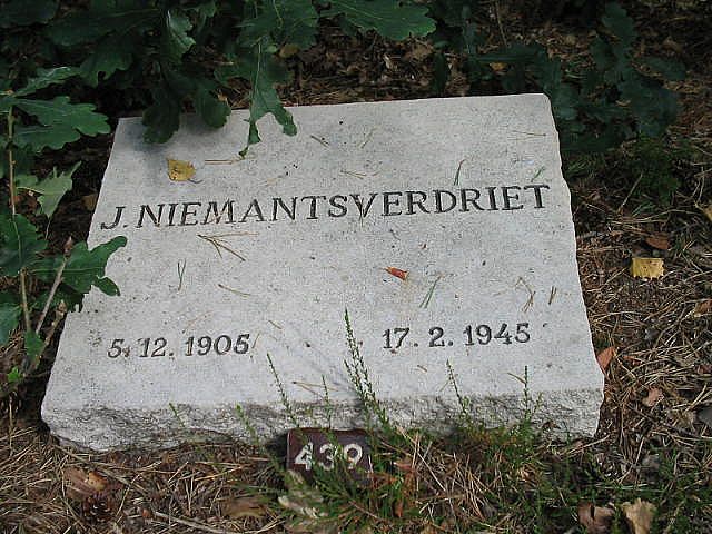109769.JPG