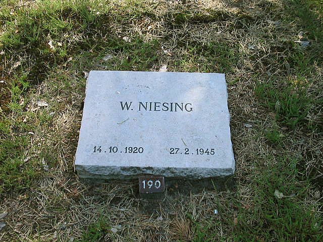 W.Niesing.jpg