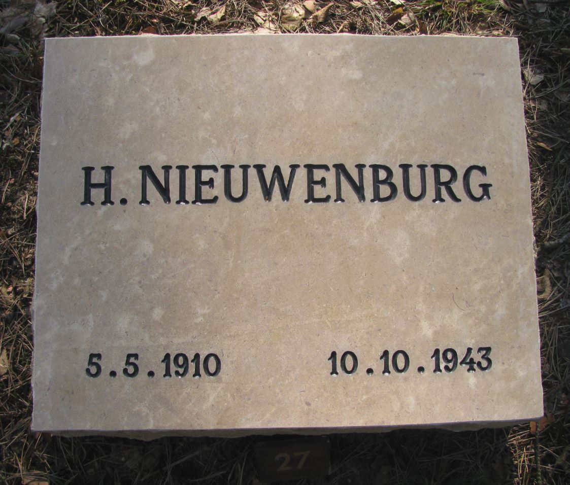 Nieuwenburg.JPG