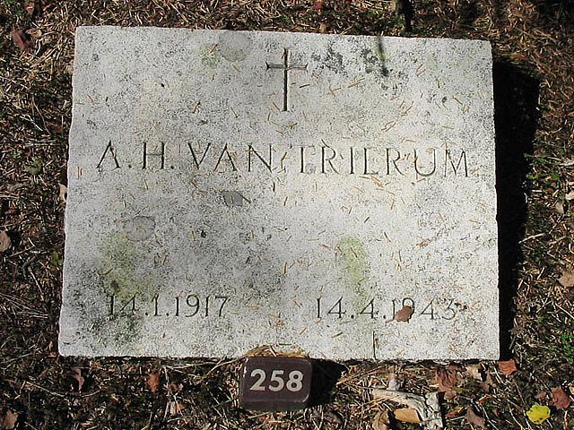 A.H.vTrierum.jpg