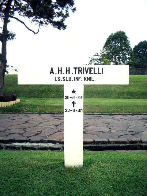 trivelli.a.h.h.2005.jpg