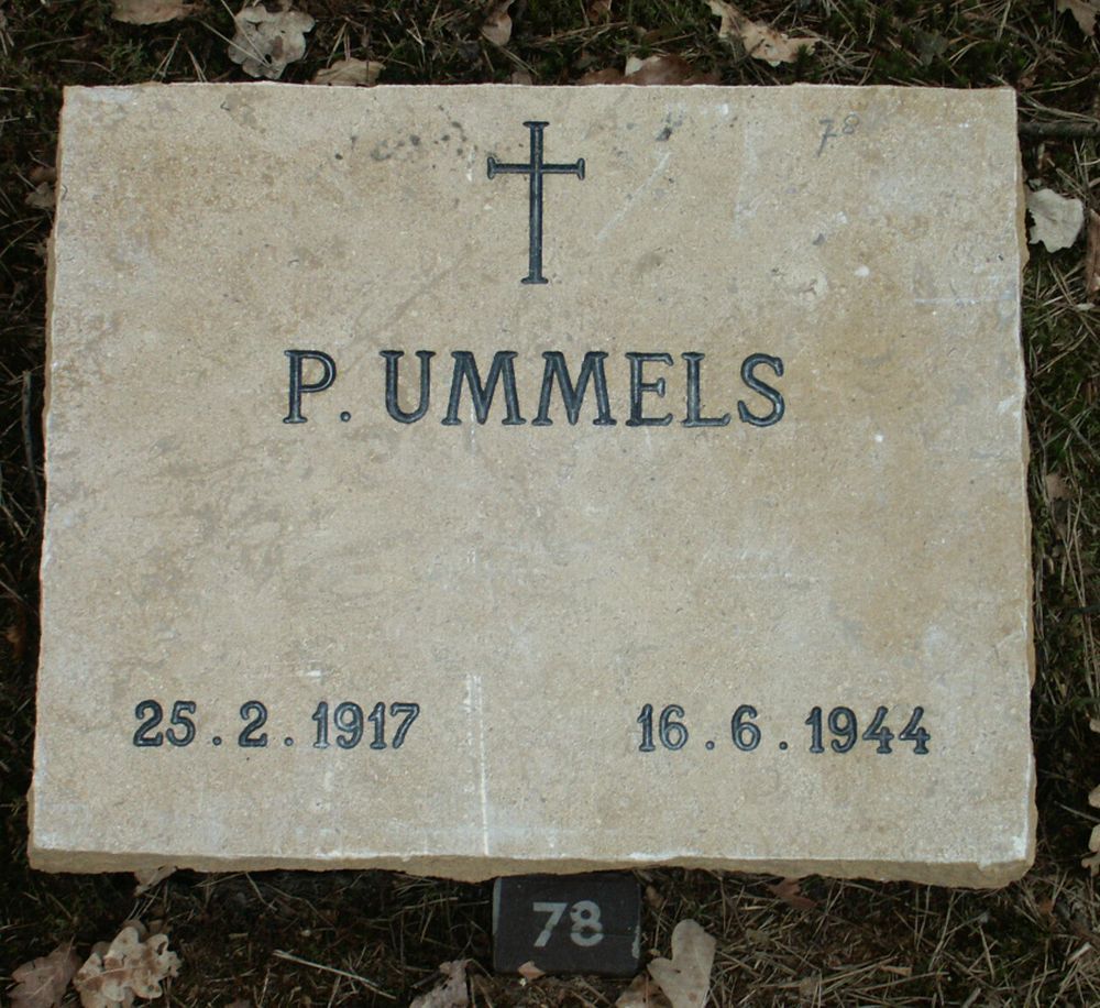 ummels.p.2006.jpg