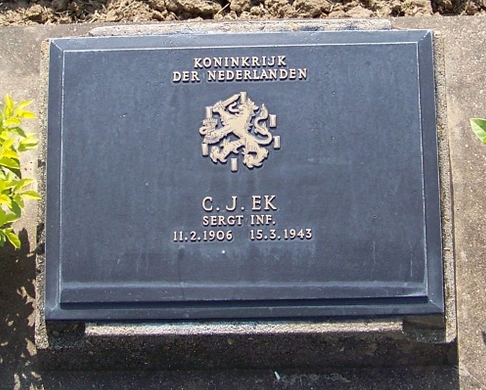 5. D. 49.JPG
