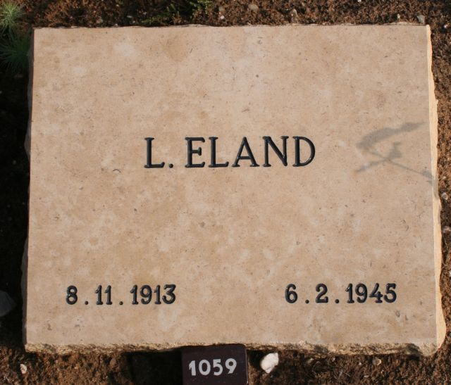 eland.l.2008.jpg
