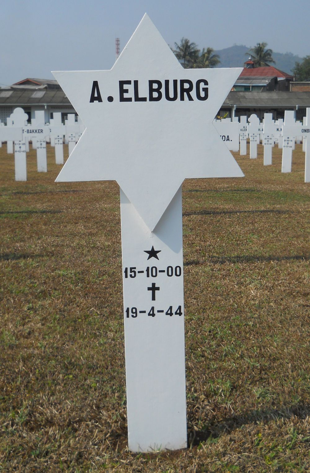 elburg.a..jpg