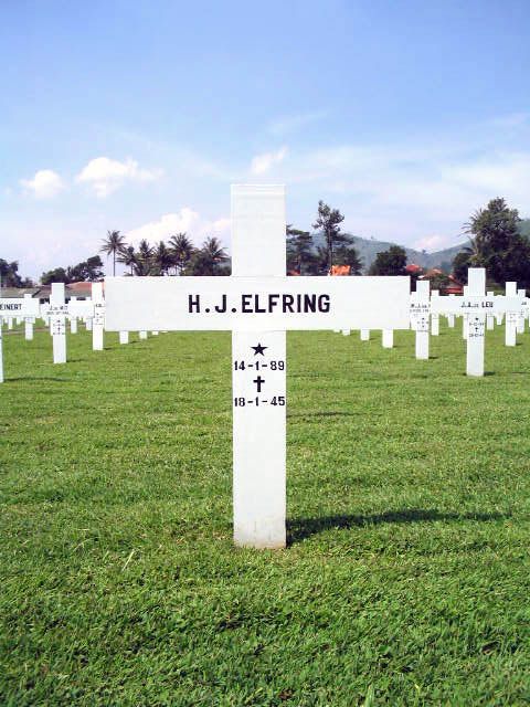 elfring.h.j.2005.jpg