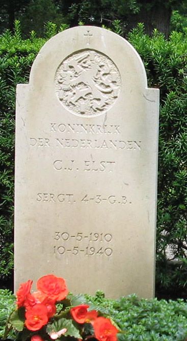 C.J.Elst.jpg