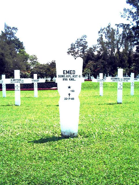 emed.2005.jpg