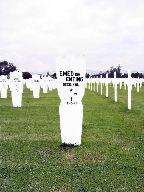 emed bin enting.2005.jpg