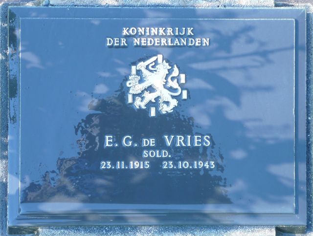 Vries.E.G.de.2008.jpg