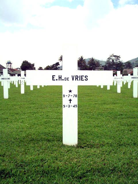 vries.de.e.h.2005(1).jpg
