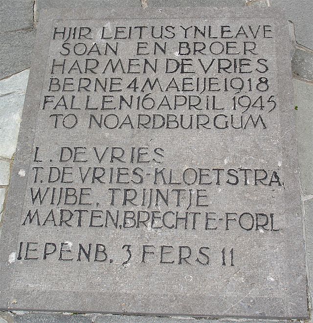 vries.h.de.2007.jpg