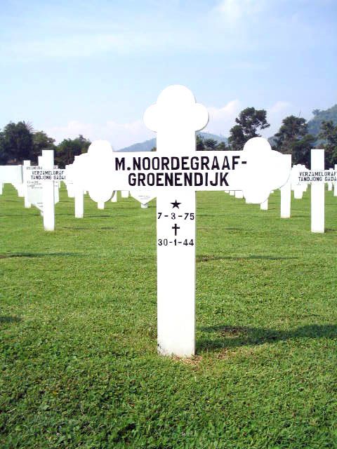 noordegraaf.groenendijk.m.2005.jpg
