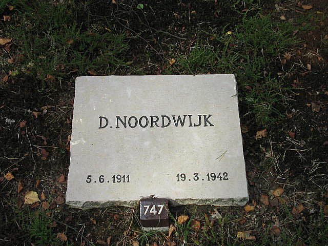 D.Noordwijk.jpg