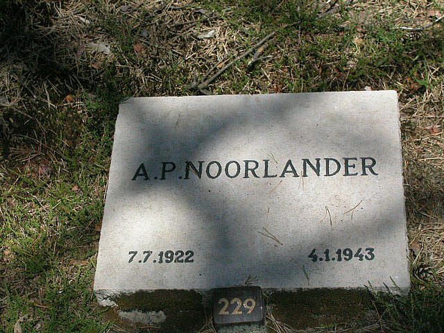 A.P.Noorlander.jpg