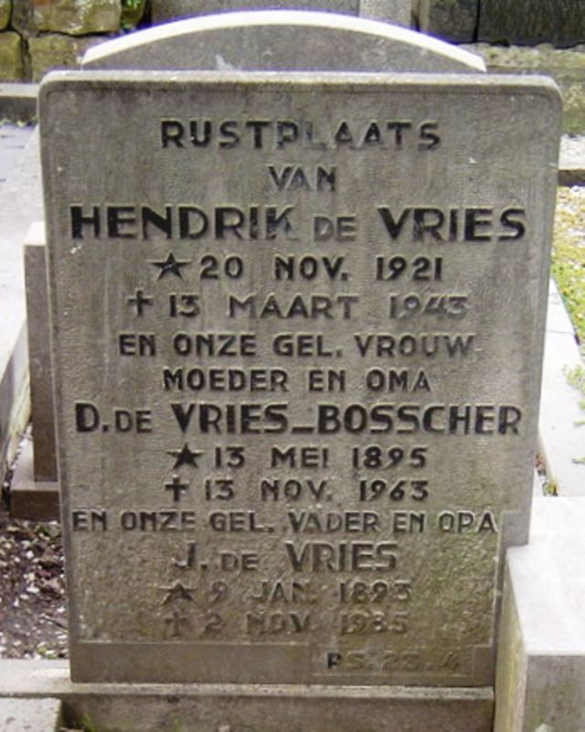 vries.h.de.2009.jpg