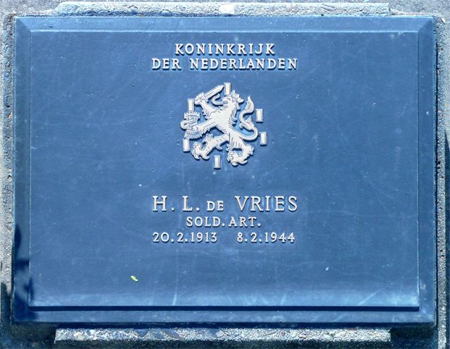 Vries.H.L.de.2008.jpg