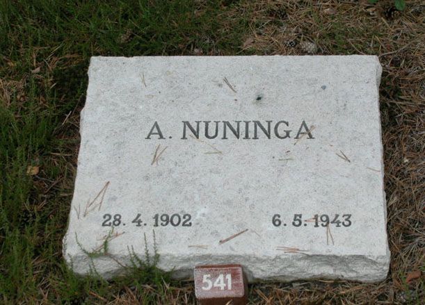 A.Nuninga.jpg