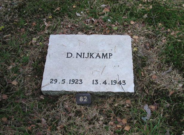 D.Nijkamp.jpg
