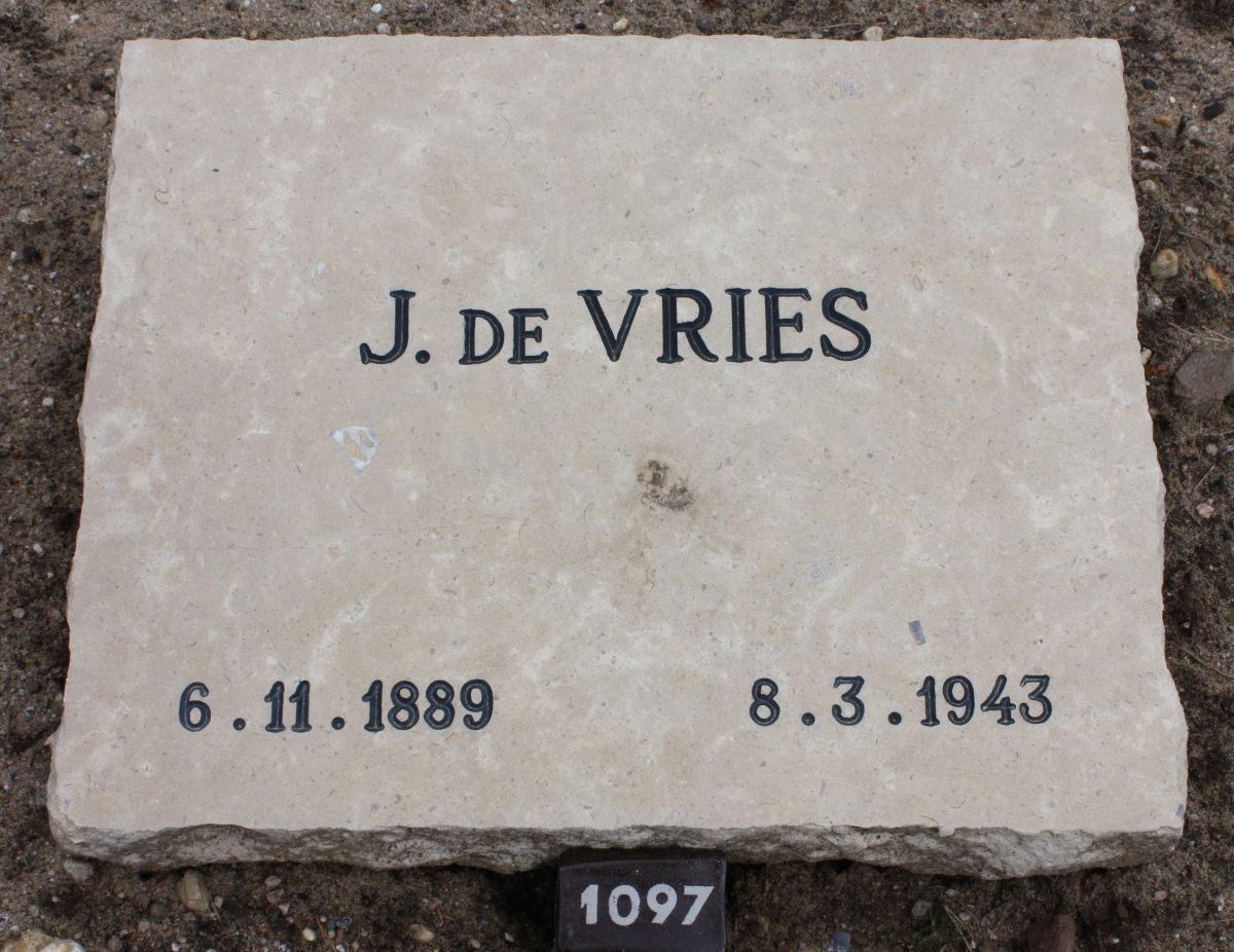 vries.j.de.2009(1).jpg