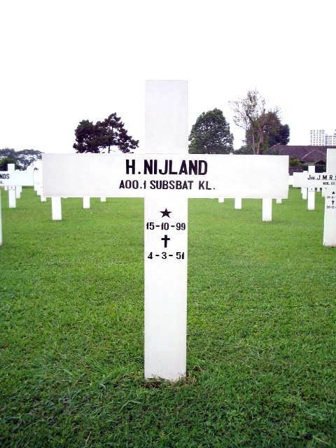 nijland.h.2005.jpg
