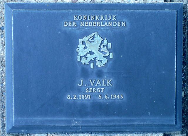 Valk.J.2008.jpg