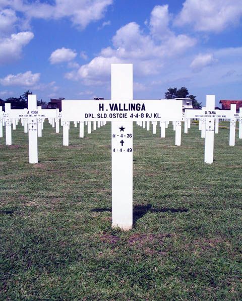 vallinga.h.2005.jpg