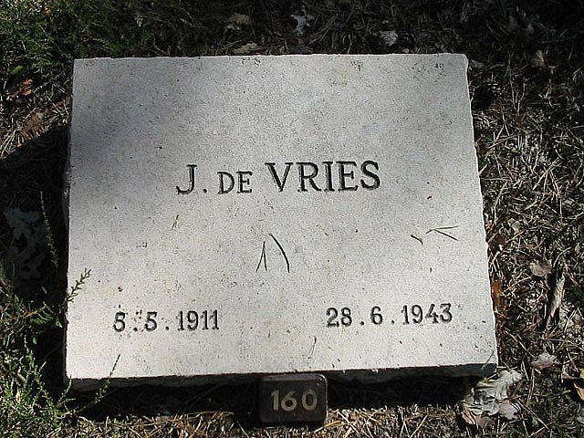 J.de Vries.jpg