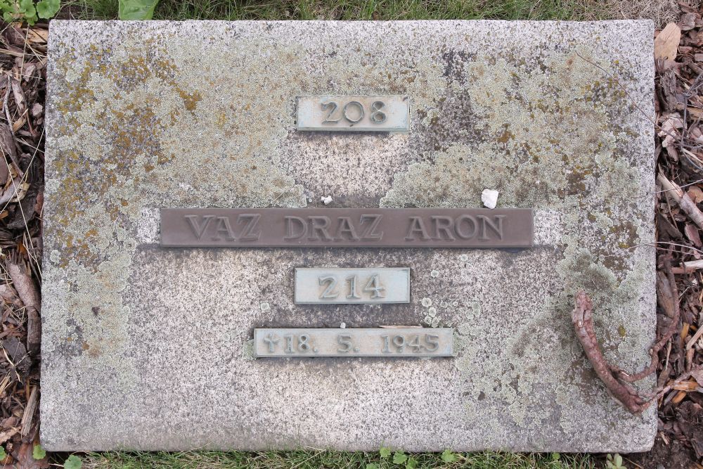 vaz.dias.a..jpg