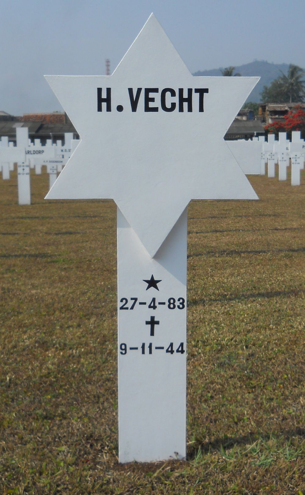 vecht.h..jpg