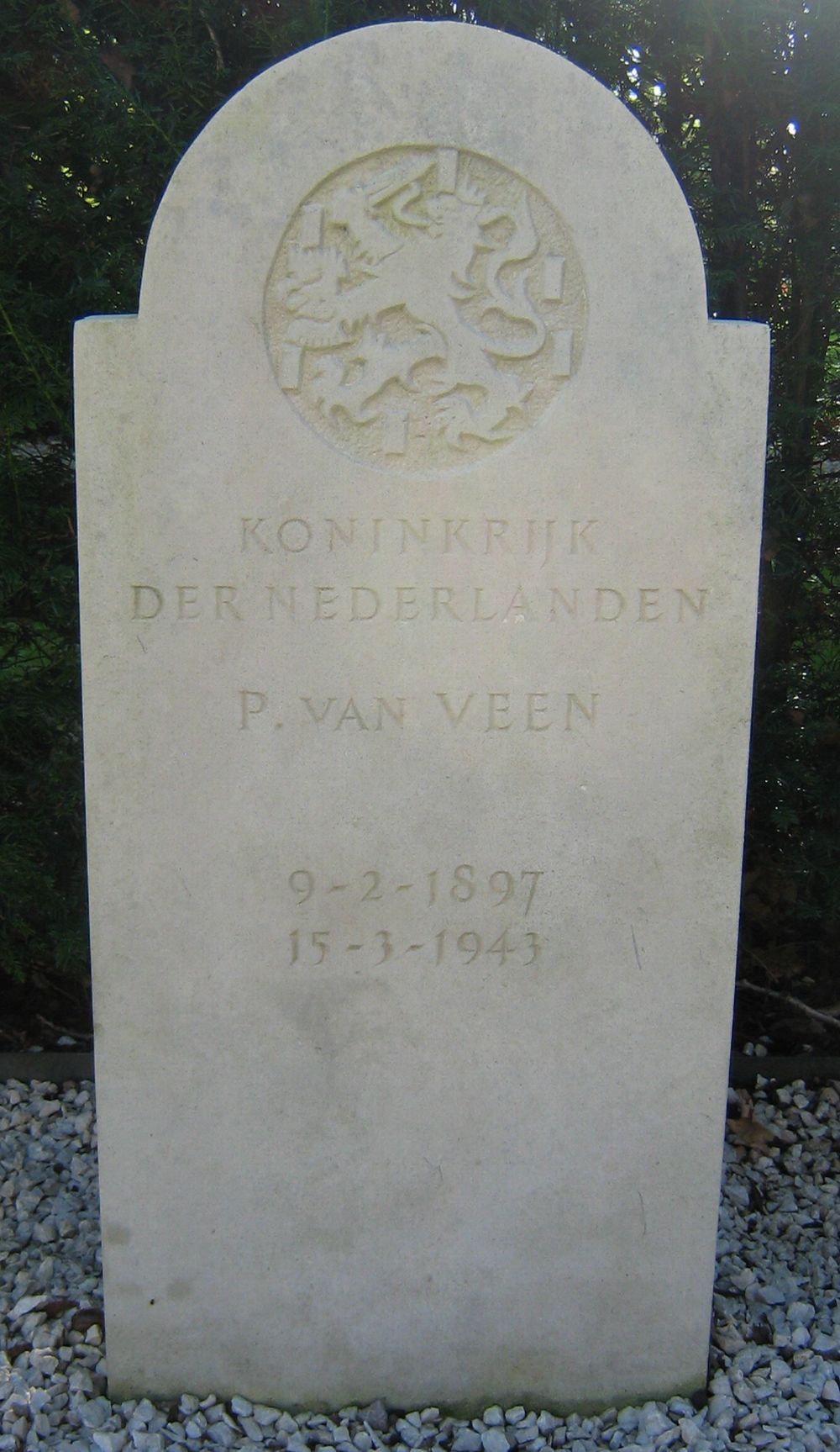 veen.p.van.2010.jpg