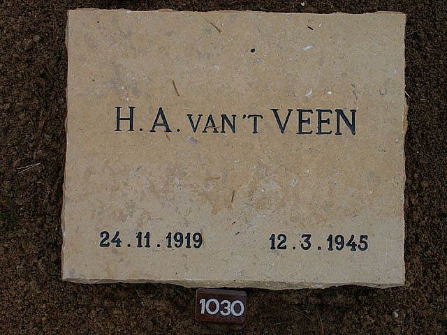 veen.h.a.van't.2008.jpg