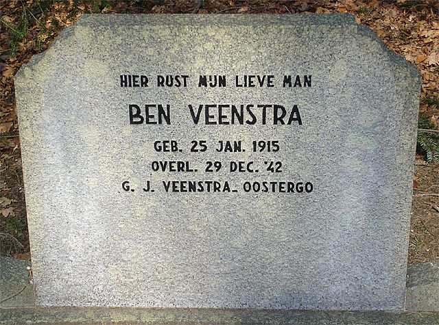 veenstra.b.2007.jpg