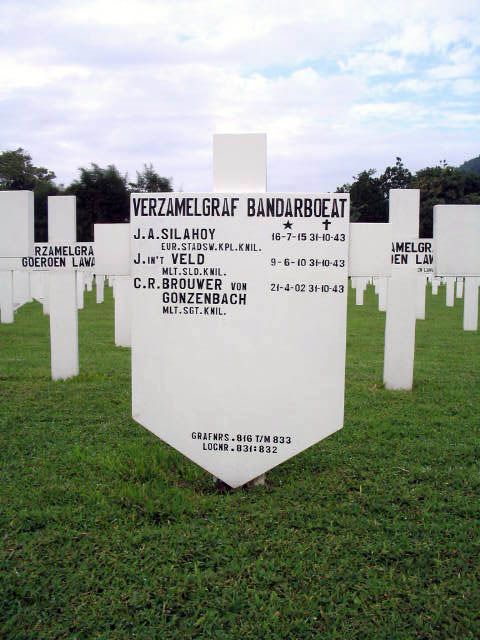 veld.in t.j.2005.jpg
