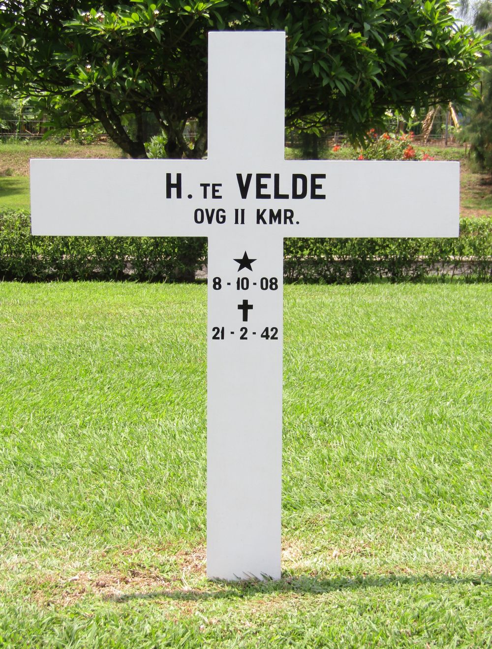 H. te Velde.JPG