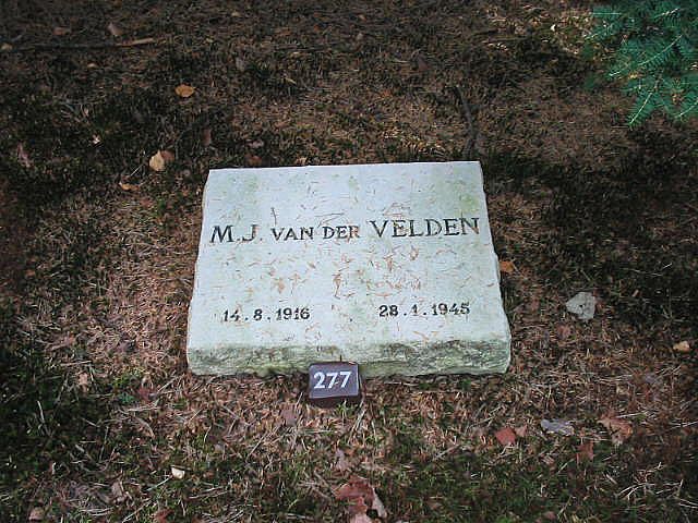 M.J.v.der Velden.jpg