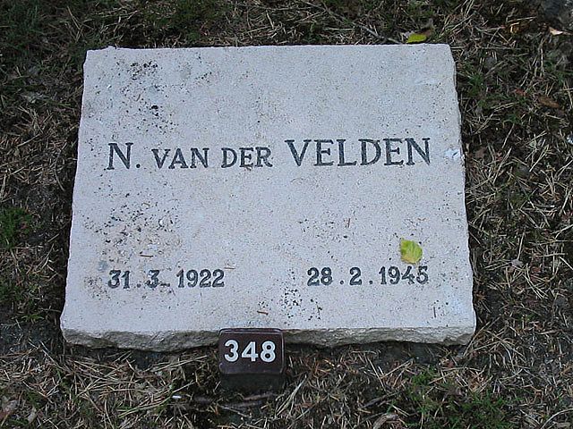 N.v.der Velden.jpg