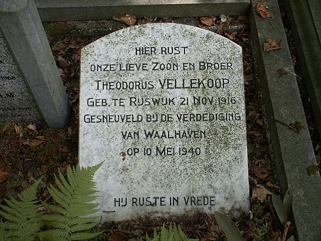 vellekoop.jpg