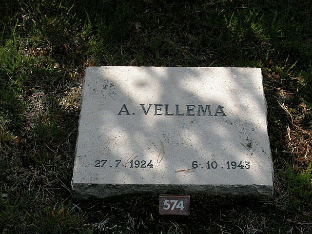 A.Vellema.jpg