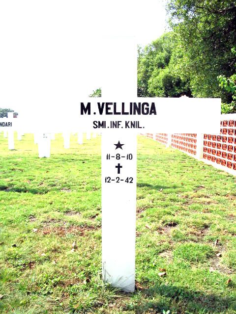vellinga.m.2005.jpg